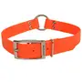 Coastal for Hunting Dogs Warterproof Collar КОЛАР КІЛЬЦЕ біотановий нашийник для собак Помаранчевий