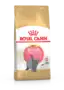 Сухий корм Royal Canin KITTEN BRITISH SHORTHAIR для породи кошенят Британська короткошерста кішка 8кг + 2кг Сухий корм Royal Canin KITTEN BRITISH SHORTHAIR для породи кошенят Британська короткошерста кішка 8кг + 2кг