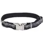 Coastal Pet Attire Sparkles КОСТАЛ СПАРКЛЕС нашийник для собак, 1х20-30см Чорний