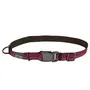 Coastal K9 Explorer Collar КОСТАЛ К9 ЕКСПЛОРЕР світловідбивний нашийник для собак, 2.5х30-46см Малиновий Coastal K9 Explorer Collar КОСТАЛ К9 ЕКСПЛОРЕР світловідбивний нашийник для собак, 2.5х30-46см Малиновий