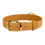 Нашийник для собак шкіряний BronzeDog Crazy голд L