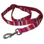 Coastal Pet Attire Weave КОСТАЛ повідець для собак, 2.5смХ1.2м Смужка