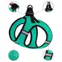 Шлея для собак Bronzedog Mesh Vest 3D сітка ментолова 2XS