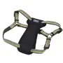 Coastal K9 Explorer Harness КОСТАЛ К9 ЕКСПЛОРЕР світловідбивна шлея з нагрудником для собак 20.4-45.3кг Папороть