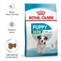 Сухий корм Royal Canin MINI PUPPY для цуценят малих порід 0,8 кг + WET MINI PUPPY 85 г — Фото 20