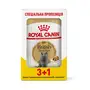Вологий корм Royal Canin BRITISH SHORTHAIR ADULT для котів всіх поріди Британська короткошерста кішка 85 г 3+1