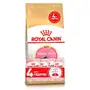 Сухий корм Royal Canin MAINECOON KITTEN для кошенят породи Мейн-кун 2 кг + 4 WET KITTEN LOAF 85г Сухий корм Royal Canin MAINECOON KITTEN для кошенят породи Мейн-кун 2 кг + 4 WET KITTEN LOAF 85г