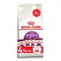 Сухий корм Royal Canin SENSIBLE для котів всіх порід 2 кг + Sensory Feel in Gravy 85г х 4шт