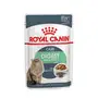 Вологий корм Royal Canin DIGEST SENSITIVE для котів всіх порід 85 г