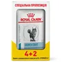 Дієтичний вологий корм Royal Canin SKIN&COAT (SIG) (шматочки у соусі) для котів 85 г 4+2