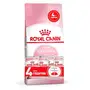 Сухий корм Royal Canin KITTEN STERILISED для кошенят всіх порід 2 кг + 4 WET KITTEN STERILISED IN GRAVY 85 г Сухий корм Royal Canin KITTEN STERILISED для кошенят всіх порід 2 кг + 4 WET KITTEN STERILISED IN GRAVY 85 г