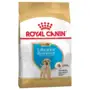 Сухий корм Royal Canin LABRADOR PUPPY для цуценят породи Лабрадор 12 кг
