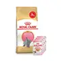 Сухий корм Royal Canin KITTEN BRITISH SHORTHAIR для породи кошенят Британська короткошерста кішка 2 кг + 4 WET KITTEN INSTINCTIVE IN JELLY 85г Сухий корм Royal Canin KITTEN BRITISH SHORTHAIR для породи кошенят Британська короткошерста кішка 2 кг + 4 WET KITTEN INSTINCTIVE IN JELLY 85г