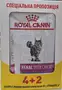Дієтичний вологий корм Royal Canin RENAL CAT CHICK (шматочки в соусі) для котів 85г 4+2
