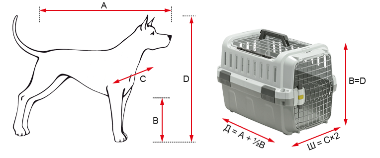 Як вибрати переноску для собак