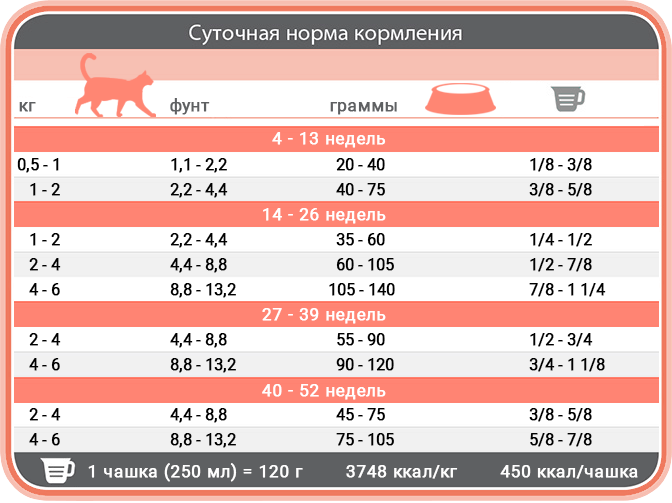 Норми годування корму для кошенят 1st Choice Kitten Optimal Growth